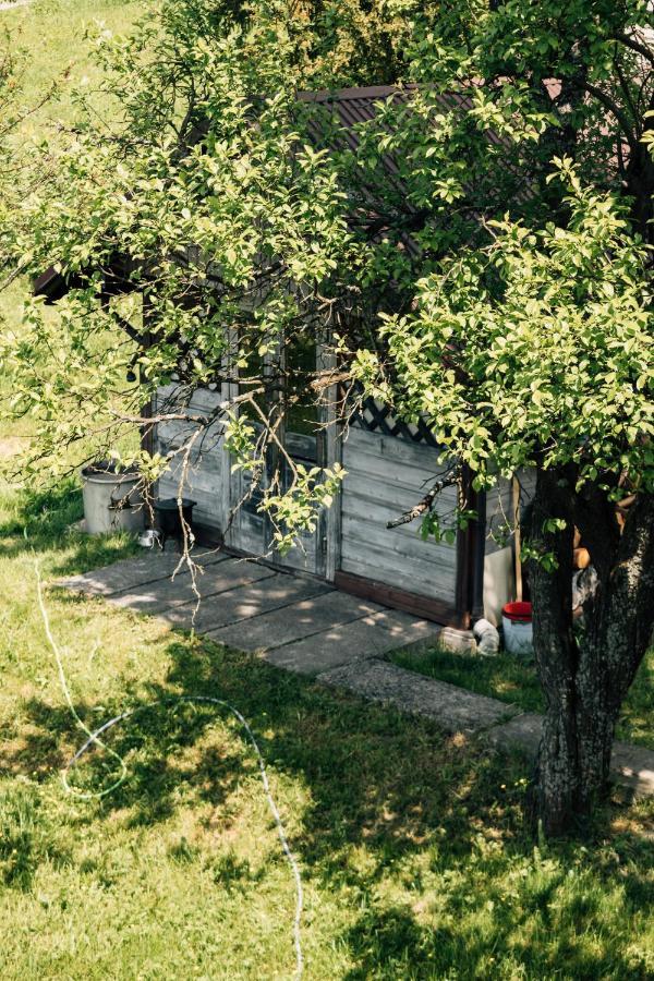 Apartamenty Madzia Wisla Exterior photo